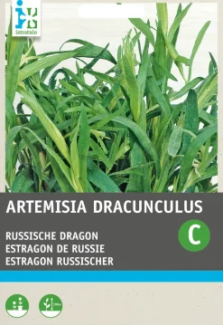Intratuin Russischer Estragon (Artemisia dracunculus) Samen| Kräutersamen|Saatgut