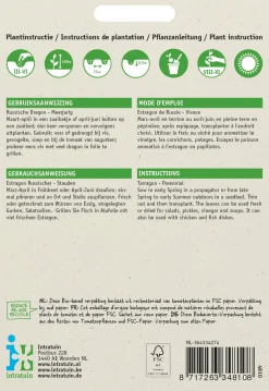 Intratuin Russischer Estragon (Artemisia dracunculus) Samen| Kräutersamen|Saatgut
