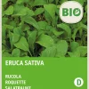 Intratuin Salatrauke (Eruca sativa) (BIO) Samen| Gemüsesamen|Saatgut