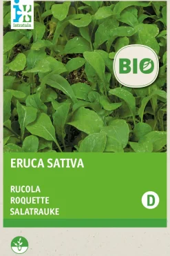 Intratuin Salatrauke (Eruca sativa) (BIO) Samen| Gemüsesamen|Saatgut