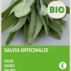 Intratuin Salbei (Salvia officinalis) (BIO) Samen| Kräutersamen|Saatgut