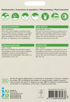 Intratuin Salbei (Salvia officinalis) Samen| Kräutersamen|Saatgut