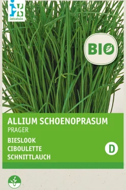 Intratuin Schnittlauch (Allium schoenoprasum 'Prager') (BIO) Samen| Kräutersamen|Saatgut