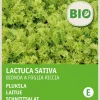 Intratuin Schnittsalat (Lactuca sativa 'Bionda a Foglia Riccia') (BIO) Samen| Gemüsesamen|Saatgut
