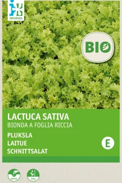 Intratuin Schnittsalat (Lactuca sativa 'Bionda a Foglia Riccia') (BIO) Samen| Gemüsesamen|Saatgut