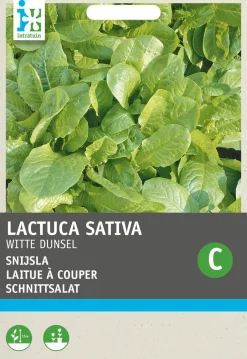 Intratuin Schnittsalat (Latuca sativa) Samen| Gemüsesamen|Saatgut