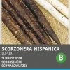 Intratuin Schwarzwurzel (Scorzonera hispanica 'Duplex') Samen| Gemüsesamen|Saatgut