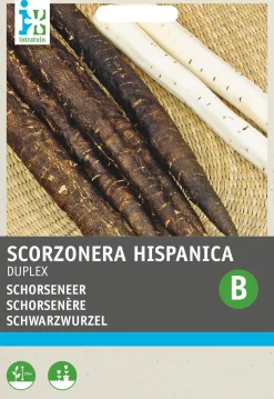 Intratuin Schwarzwurzel (Scorzonera hispanica 'Duplex') Samen| Gemüsesamen|Saatgut