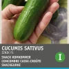 Intratuin Snackgurke (Cucumus sativus 'Iznik F1') Samen| Gemüsesamen|Saatgut