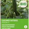 Intratuin Snackgurke (Cucumis sativus 'Picolino') (BIO) Samen| Gemüsesamen|Saatgut