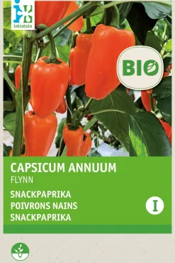 Intratuin Snackpaprika (Capsicum annuum 'Flyn oranje') (BIO) Samen| Gemüsesamen|Saatgut