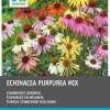 Intratuin Sonnenhut (Echinacaea purpurea) Blumenzwiebeln 5 St.| Winterharte Pflanzen|Mehrjährige Pflanzen