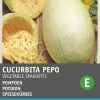 Intratuin Speisekürbis (Cucurbita 'Vegetable spaghetti') Samen| Gemüsesamen|Saatgut