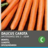 Intratuin Speisemöhren (Daucus 'Amsterdamse Bak') Samen| Gemüsesamen|Saatgut