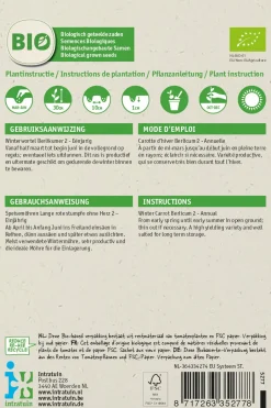 Intratuin Speisemöhren (Daucus carota 'Berlikum 2') (BIO) Samen| Gemüsesamen|Saatgut