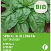 Intratuin Spinat (Spinacia oleracea 'Securo') (BIO) Samen| Gemüsesamen|Saatgut