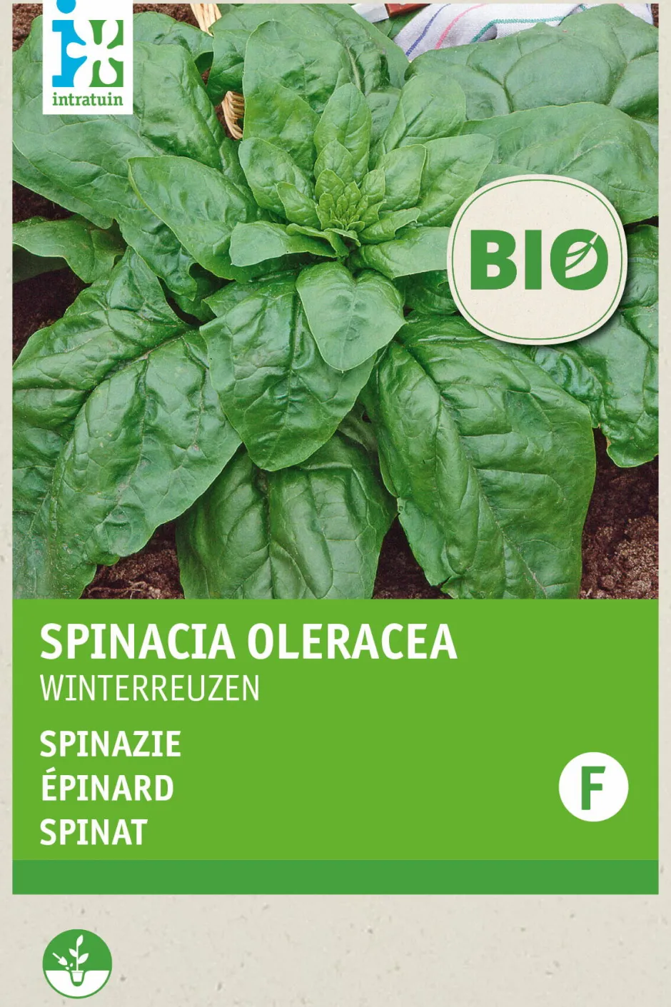 Intratuin Spinat (Spinacia oleracea 'Securo') (BIO) Samen| Gemüsesamen|Saatgut