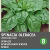 Intratuin Spinat (Spinacia oleracea 'Winterriesen') Samen| Gemüsesamen|Saatgut