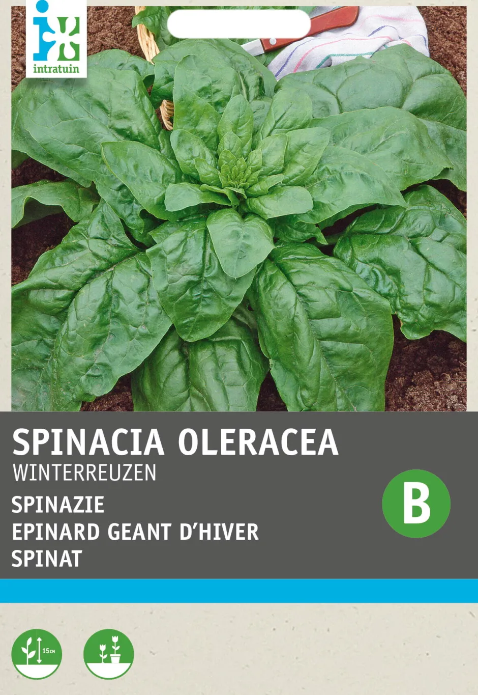 Intratuin Spinat (Spinacia oleracea 'Winterriesen') Samen| Gemüsesamen|Saatgut