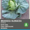 Intratuin Spitzkohl (Brassica oleracea 'Express') Samen| Gemüsesamen|Saatgut