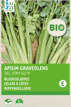 Intratuin Stangensellerie (Apium graveolens 'Tall Utah 52/70') (BIO) Samen| Gemüsesamen|Saatgut
