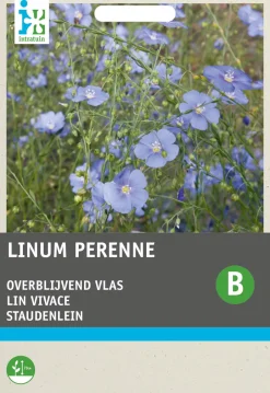 Intratuin Stauden-Lein blau (Linum perenne) Blumensamen| Saatgut|Blühende Pflanzen