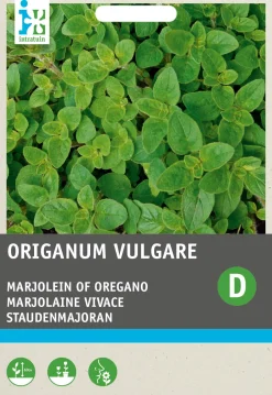 Intratuin Staudenmajoran (Origanum vulgare) Samen| Kräutersamen|Saatgut