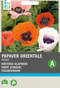 Intratuin Staudenmohn bunt (Papaver orientale) Blumensamen-Mischung| Blühende Pflanzen|Saatgut