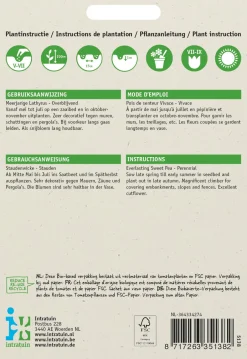 Intratuin Staudenwicke (Lathyrus latifolius) Blumensamen| Saatgut|Blühende Pflanzen