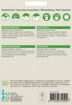 Intratuin Steingarten Blumensamen-Mischung| Saatgut|Blühende Pflanzen