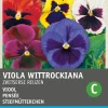 Intratuin Stiefmütterchen (Viola wittrockiana 'Schweizer Riesen') Blumensamen-Mischung| Saatgut|Blühende Pflanzen