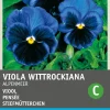 Intratuin Stiefmütterchen dunkelblau (Viola wittrockiana 'Alpensee') Blumensamen| Saatgut|Blühende Pflanzen