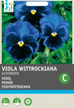 Intratuin Stiefmütterchen dunkelblau (Viola wittrockiana 'Alpensee') Blumensamen| Saatgut|Blühende Pflanzen