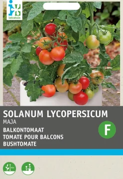 Intratuin Strauchtomate (Solanum lycopersicum 'Maja Origineel') Samen| Gemüsesamen|Saatgut