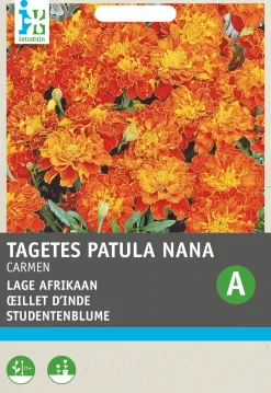 Intratuin Studentenblume rostbraun-gelb (Tagetes patula 'Carmen') Blumensamen| Blühende Pflanzen|Saatgut