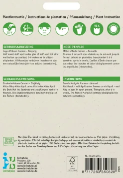 Intratuin Studentenblume rostbraun-gelb (Tagetes patula 'Carmen') Blumensamen| Blühende Pflanzen|Saatgut