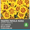 Intratuin Studentenblume goldgelb-braun (Tagetes patula nana 'Granada') Blumensamen| Blühende Pflanzen|Saatgut
