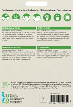 Intratuin Studentenblume orange (Tagetes patula 'Hawaii') Blumensamen| Saatgut|Blühende Pflanzen