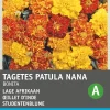 Intratuin Studentenblume (Tagetes patula nana 'Bonita') Blumensamen-Mischung| Saatgut|Blühende Pflanzen