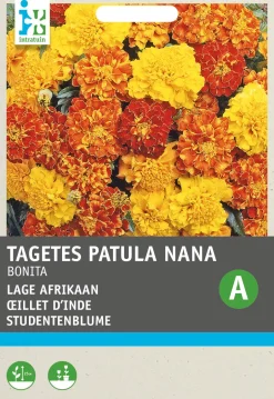 Intratuin Studentenblume (Tagetes patula nana 'Bonita') Blumensamen-Mischung| Saatgut|Blühende Pflanzen