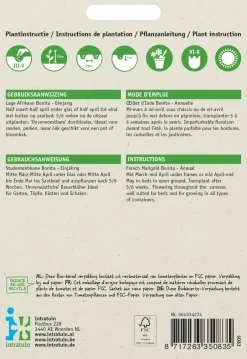 Intratuin Studentenblume (Tagetes patula nana 'Bonita') Blumensamen-Mischung| Saatgut|Blühende Pflanzen
