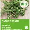 Intratuin Thymian (Thymus vulgaris) (BIO) Samen| Kräutersamen|Saatgut