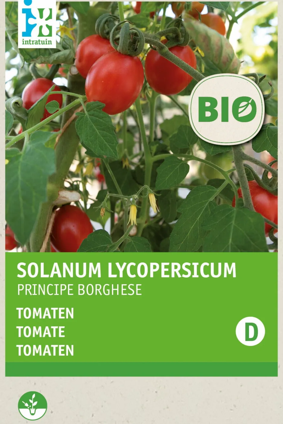 Intratuin Tomate (Solanum Lycopersicum 'Principe Borghese') (BIO) Samen| Gemüsesamen|Saatgut