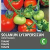 Intratuin Tomate (Solanum lycopersicum 'Moneymaker') Samen| Gemüsesamen|Saatgut