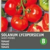 Intratuin Tomate (Solanum lycopersicum 'St. Pierre') Samen| Gemüsesamen|Saatgut