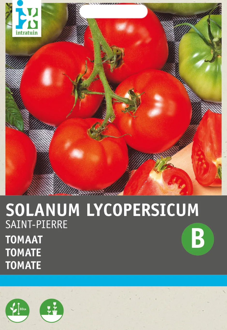 Intratuin Tomate (Solanum lycopersicum 'St. Pierre') Samen| Gemüsesamen|Saatgut