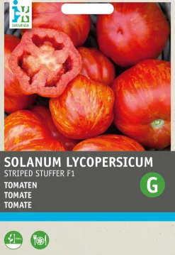 Intratuin Tomaten (Lycopersicon esculentum 'Striped Stuffer' F1) Samen| Gemüsesamen|Saatgut