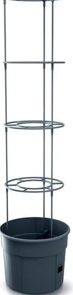 Intratuin Tomatentopf mit Rankhilfe 39 x 31,5 x 153 cm anthrazit| Anzuchtkästen & Mini-Gewächshäuser