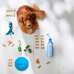 Intratuin tragbare Trinkflasche blau 750 ml| Futternäpfe & Trinknäpfe|Futternäpfe & Trinknäpfe