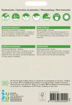 Intratuin Trichterwinde (Ipomoea purpurea) Blumensamen-Mischung| Saatgut|Blühende Pflanzen